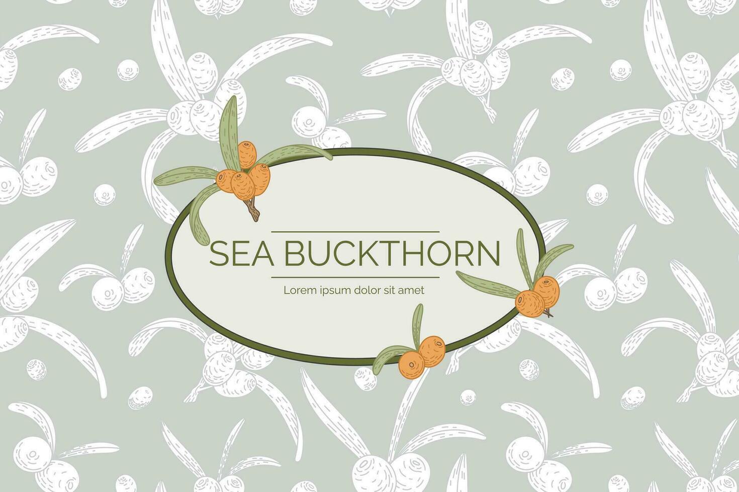 Label or logo with the name Sea Buckthorn. Twig with leaves and berries, background with pattern. Vector isolated template, natural packaging design.