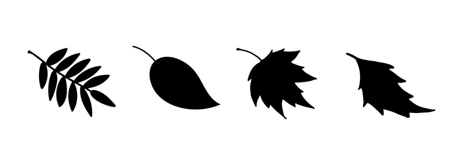 Vector silhouette autumn leaves. Black Leaves of aspen, birch, maple, rowan.