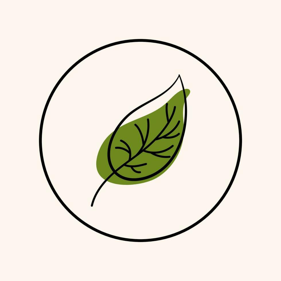 Isolated Birch Leaf icon. Vector illustration in doodle style. Leaf theme of autumn, botany, nature.