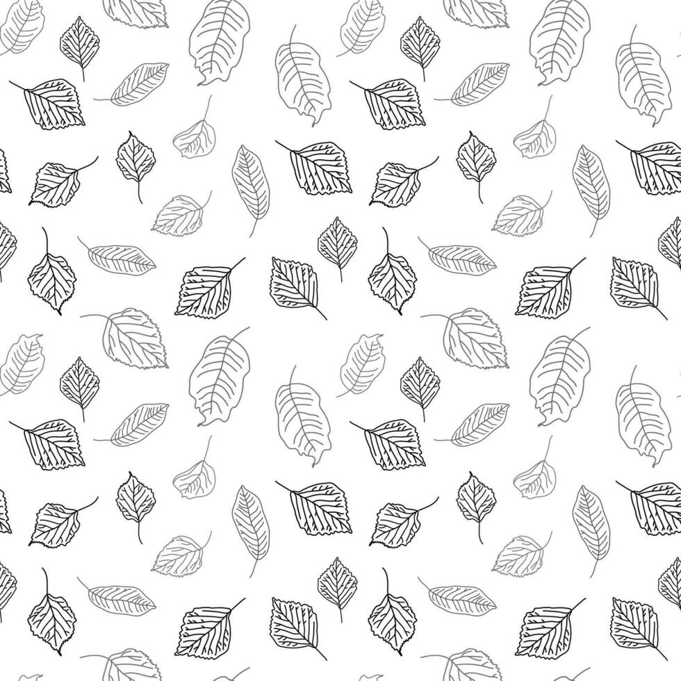 Vector hand drawn seamless pattern of fall leaves of birch, oak, maple, ash trees