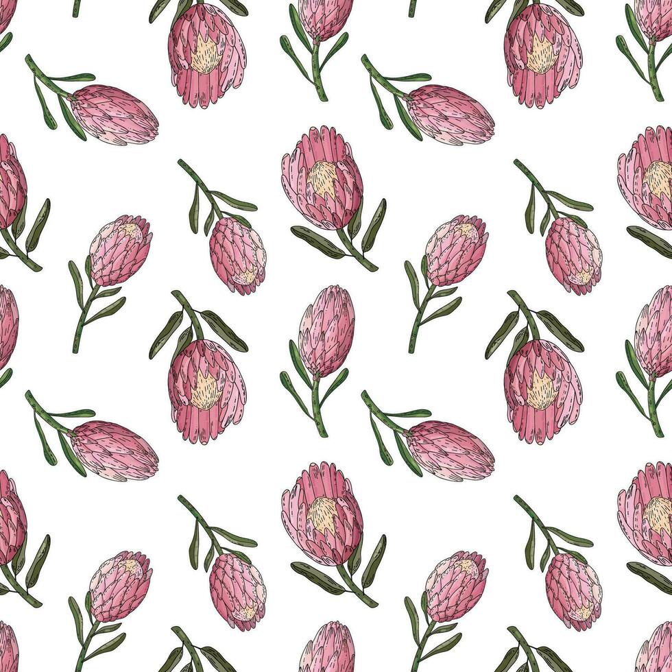 Hand drawn vector seamless pattern of king protea.