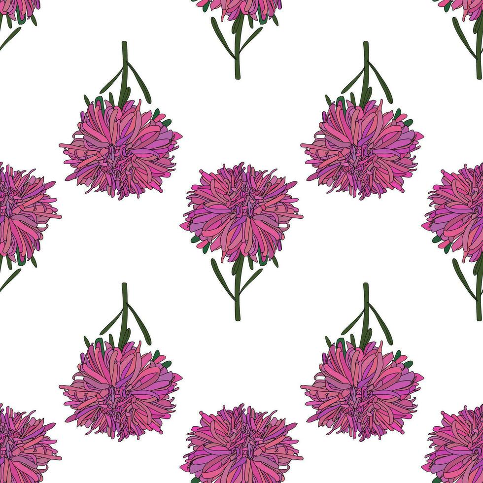 Vector botanical hand drawn pattern of asters flowers, daisies
