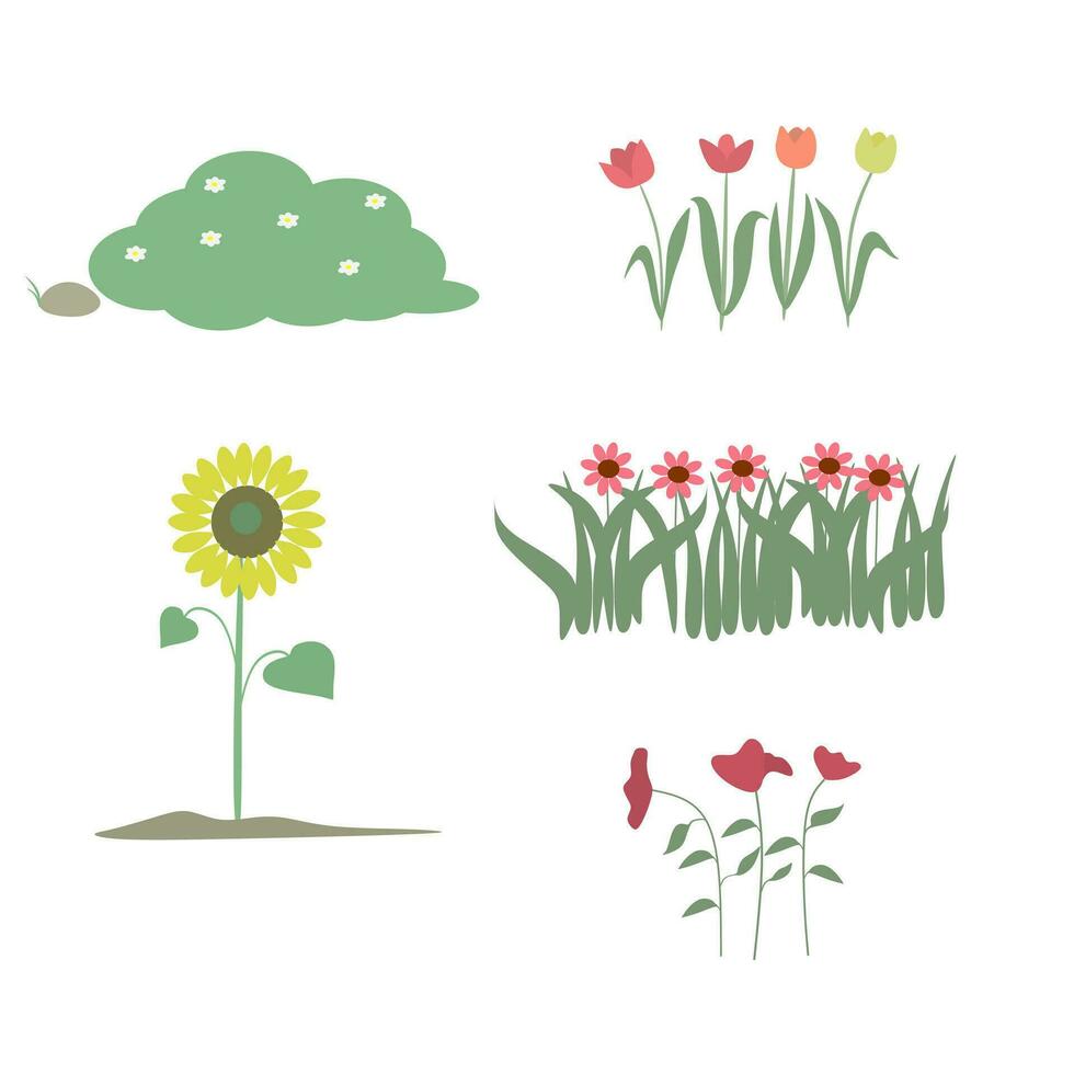 Bush And Flowers Illustration Graphic Vector