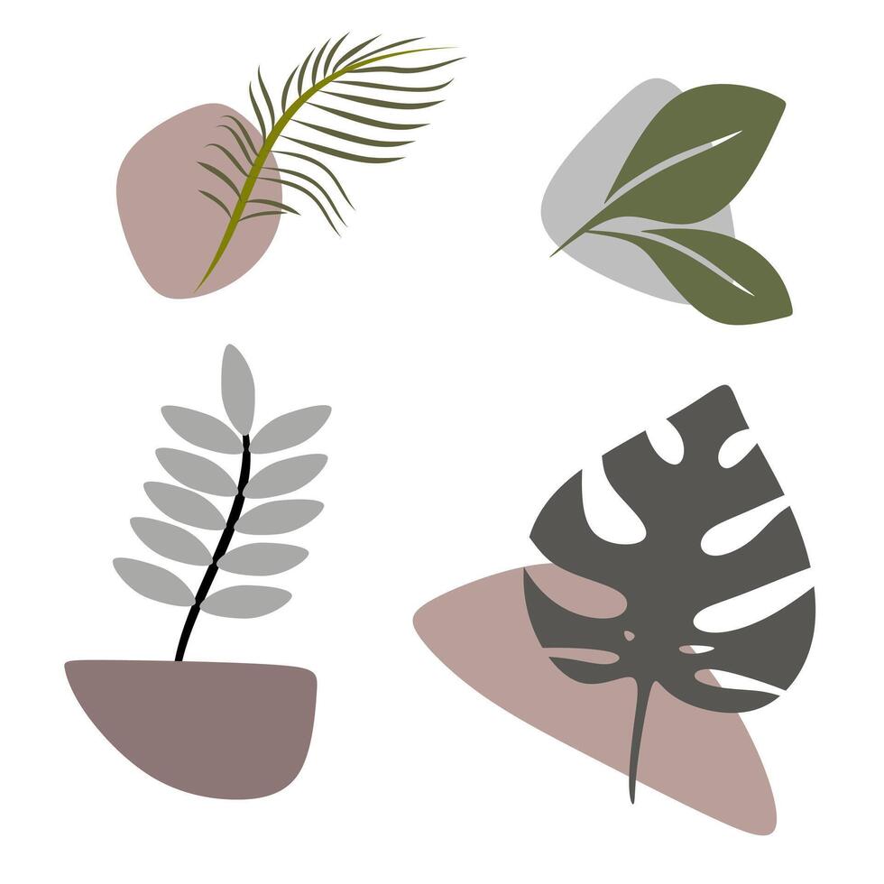 Abstract Botanical Leaves Collection.  Aesthetic Leaf Line Art Blob Illustration vector