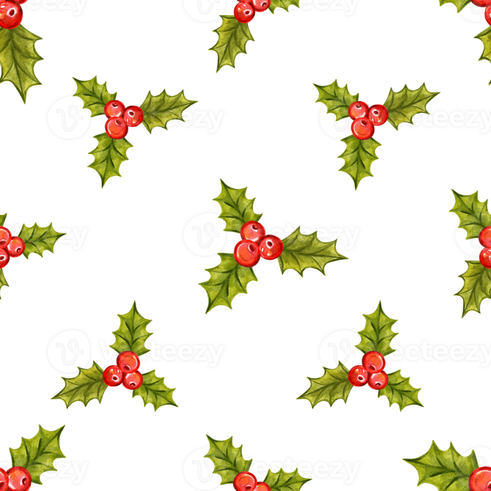 Christnas waterolor pattern with holly png