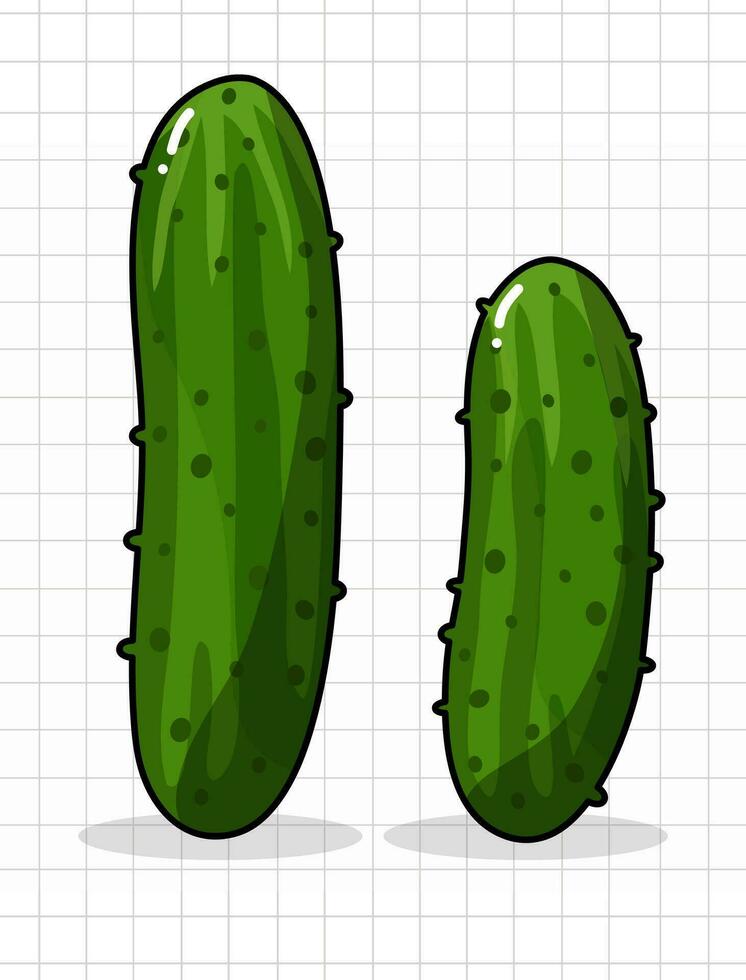 ilustración vectorial de pepino vector