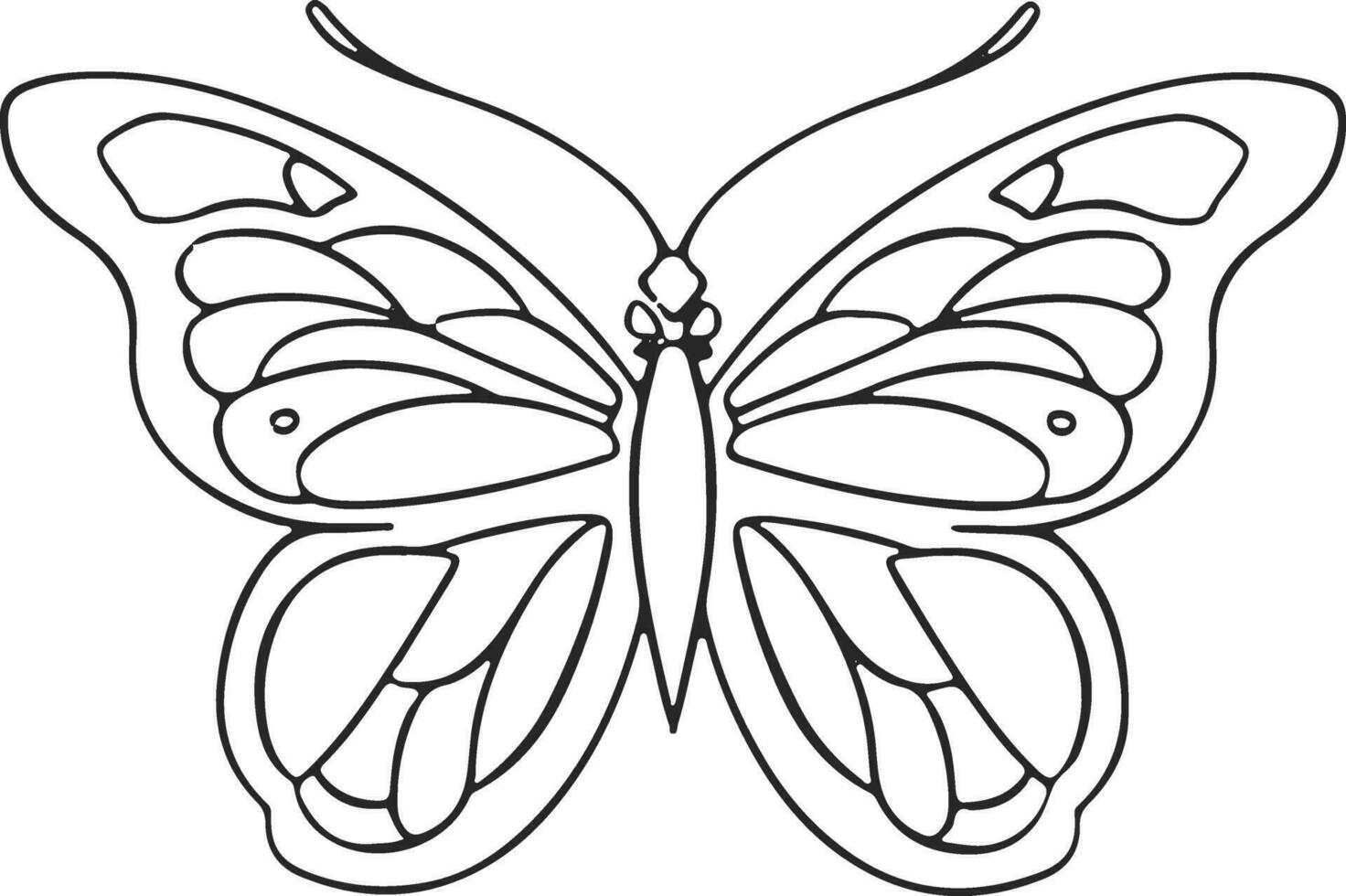 Thin linear butterfly monochrome   illustration vector