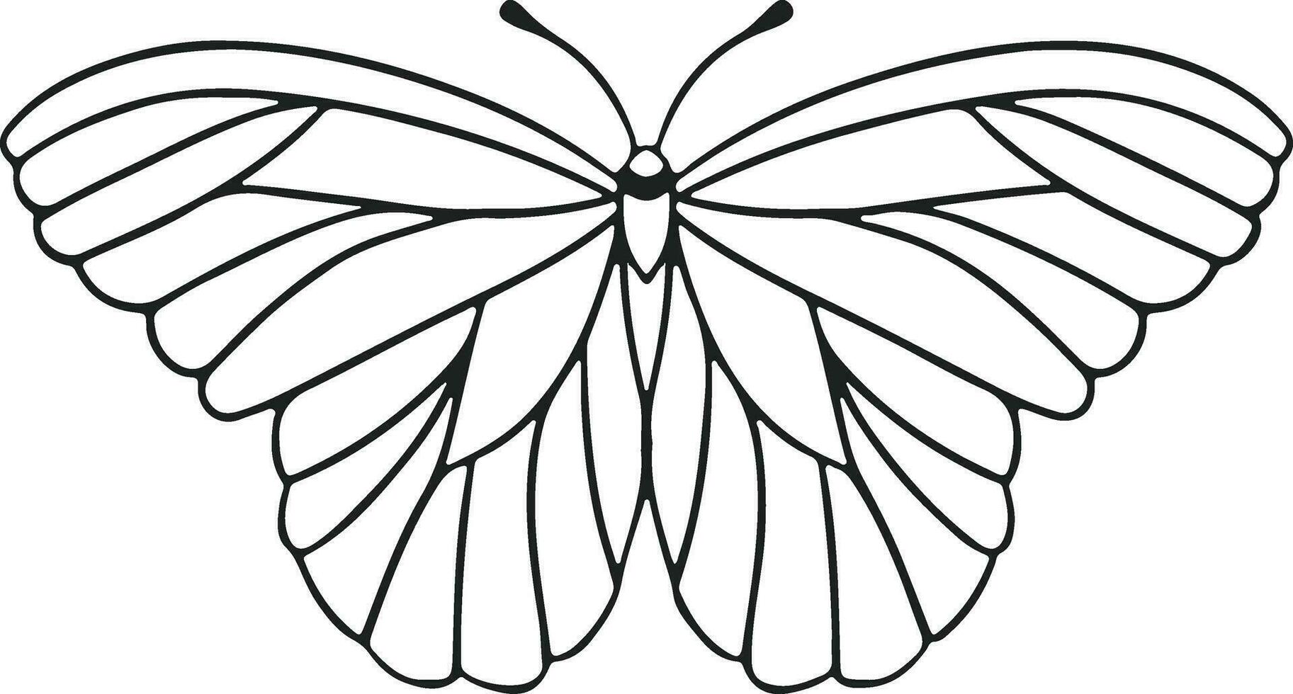 Thin linear butterfly monochrome   illustration vector