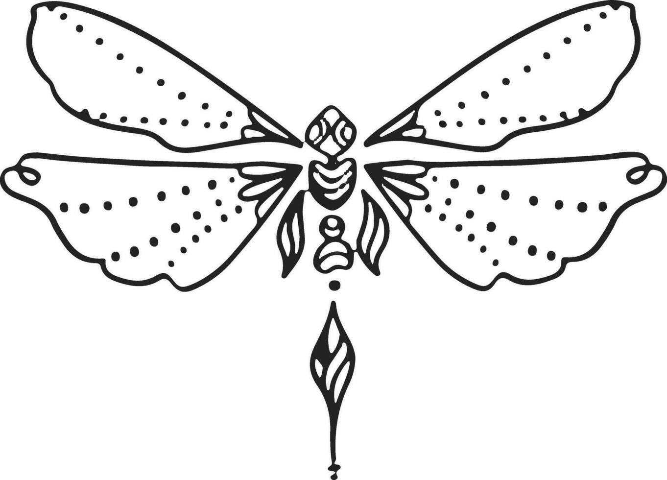 Thin linear butterfly monochrome   illustration vector