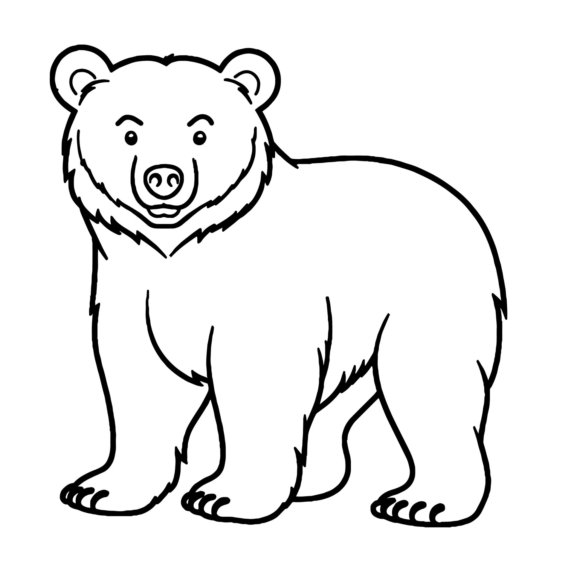 bear black and white vector illustration for coloring book 30773054 ...