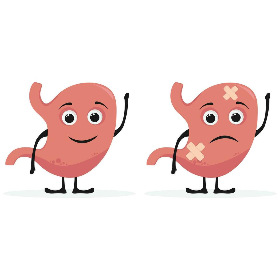 human unhealthy sick stomach disease character laughs with sadness. Healthy diet. Anatomy of the digestive system. Vector in flat style