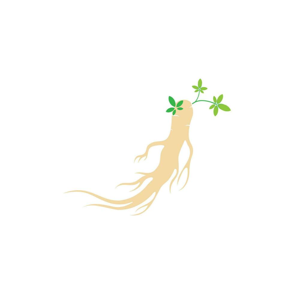 Ginseng vector icon illustration design