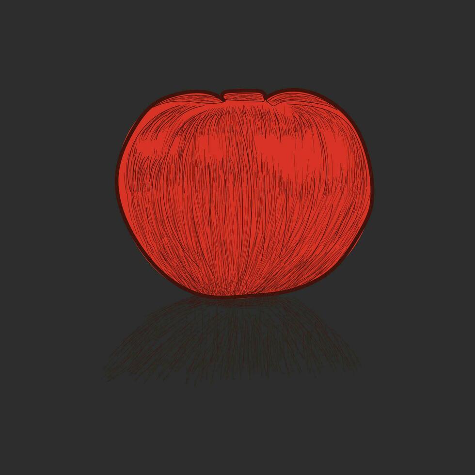 Tomato sketch vector illustration design