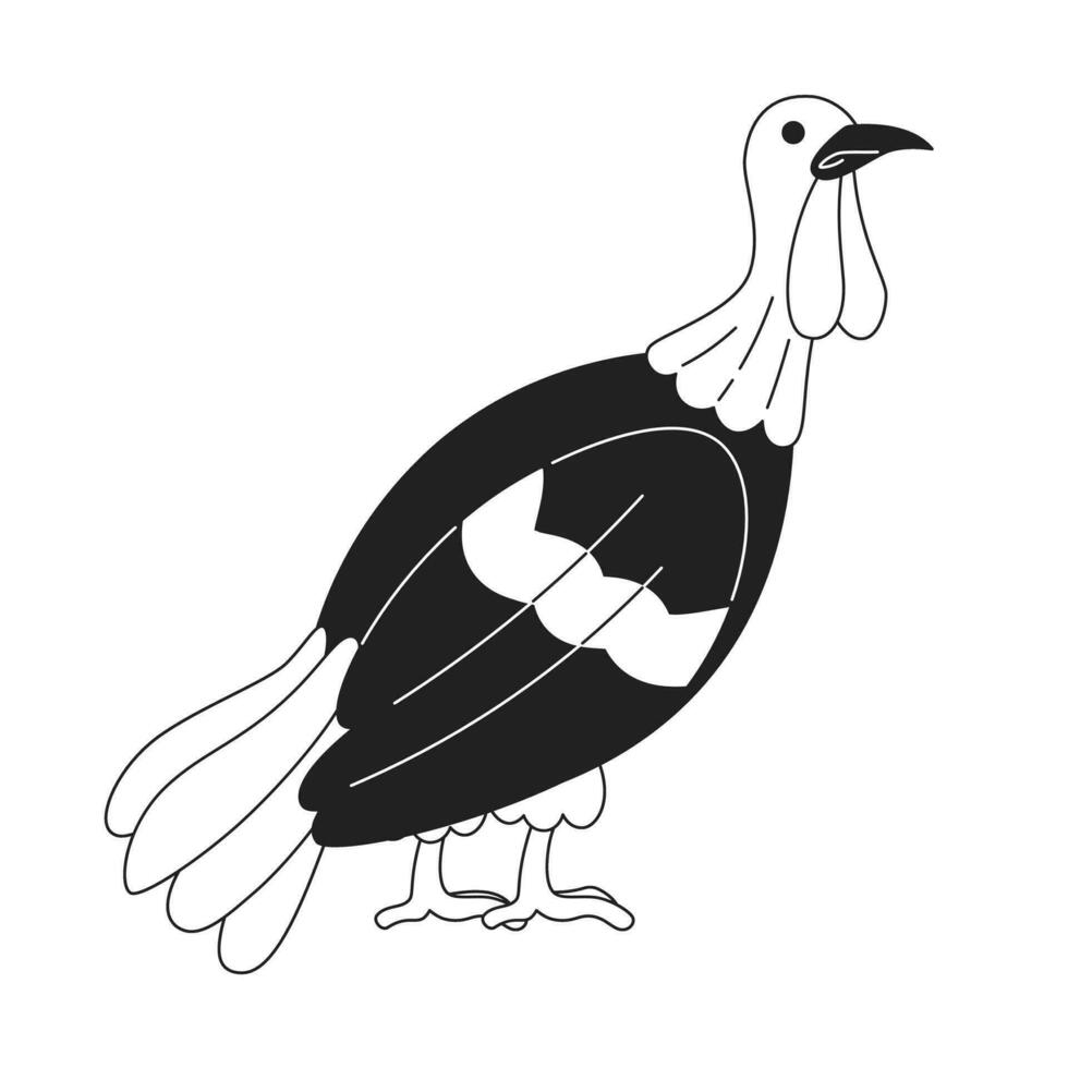 Doméstico Turquía pájaro negro y blanco 2d dibujos animados personaje. aves de corral agricultura aislado vector contorno animal. salvaje pavo macho acción de gracias. noviembre campo pájaro monocromo plano Mancha ilustración