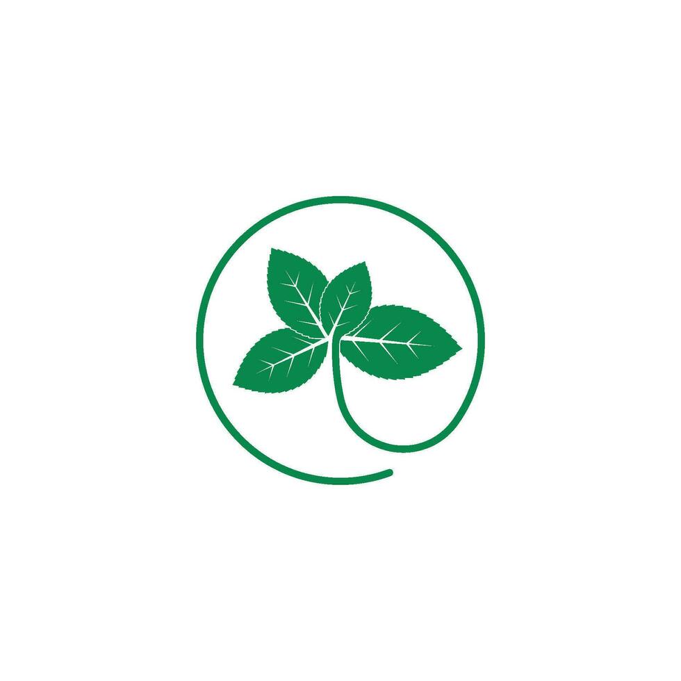 mint leaf illustration vector template