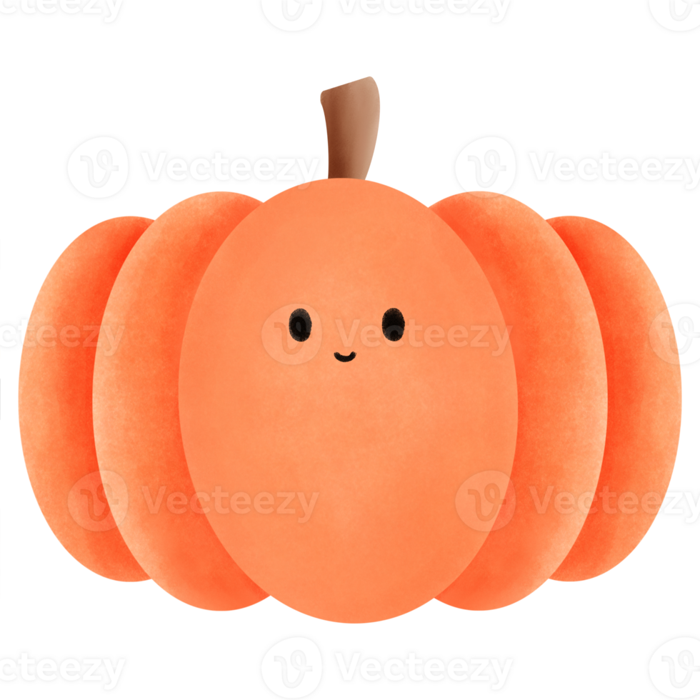 un' zucca con un' smiley viso su esso png