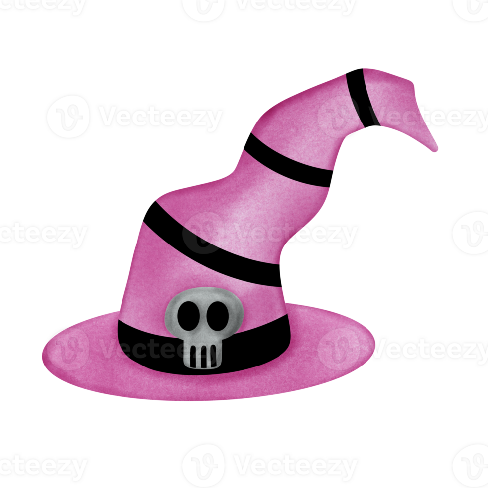 a pink witch hat with a skull on it png