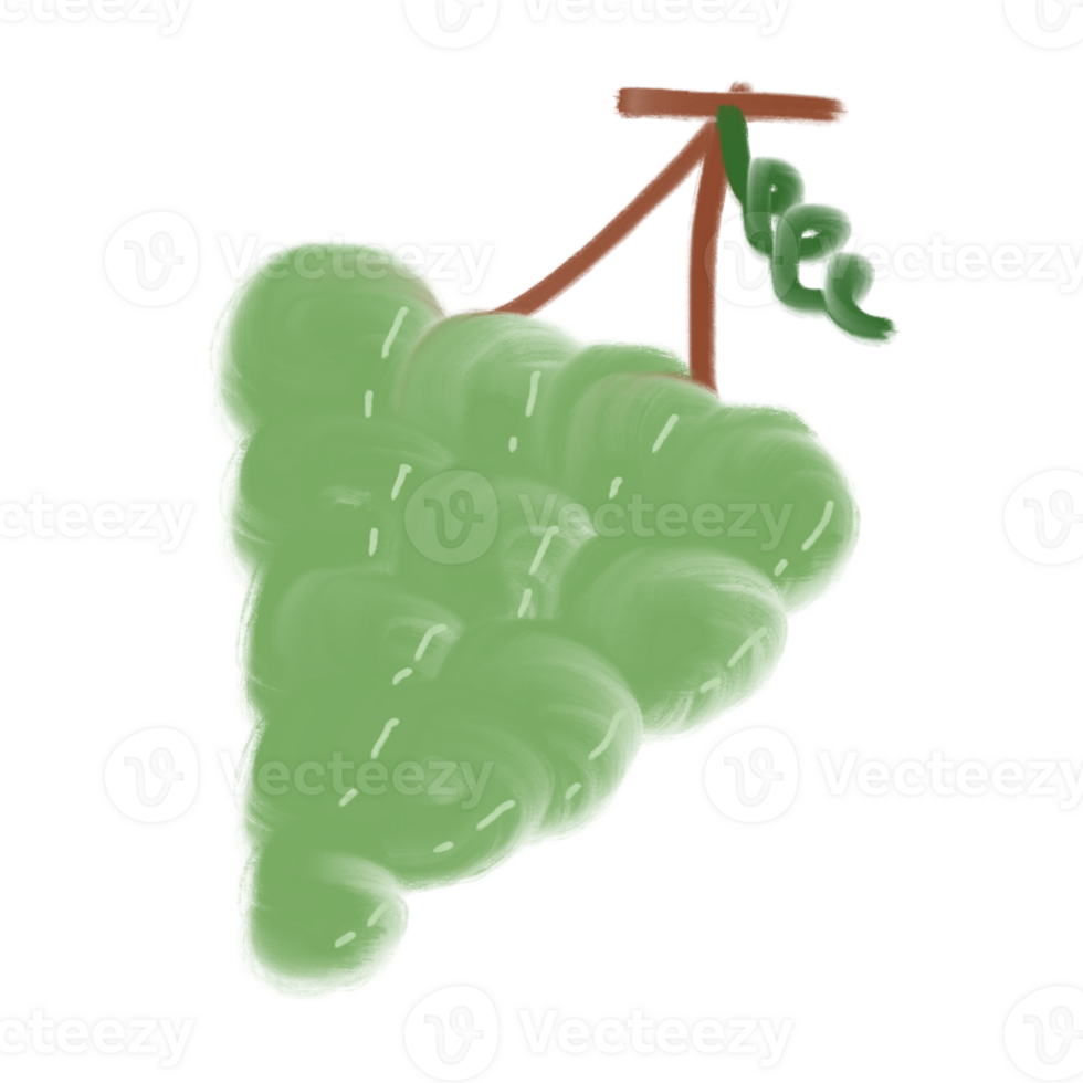 Green Grape Fruit Doodle png