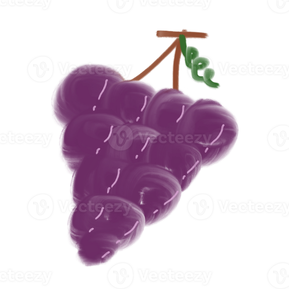 Purple Grape Fruit Doodle png