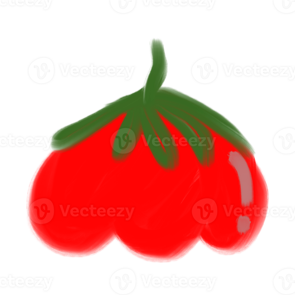 Red Tomato Vegetable Doodle png