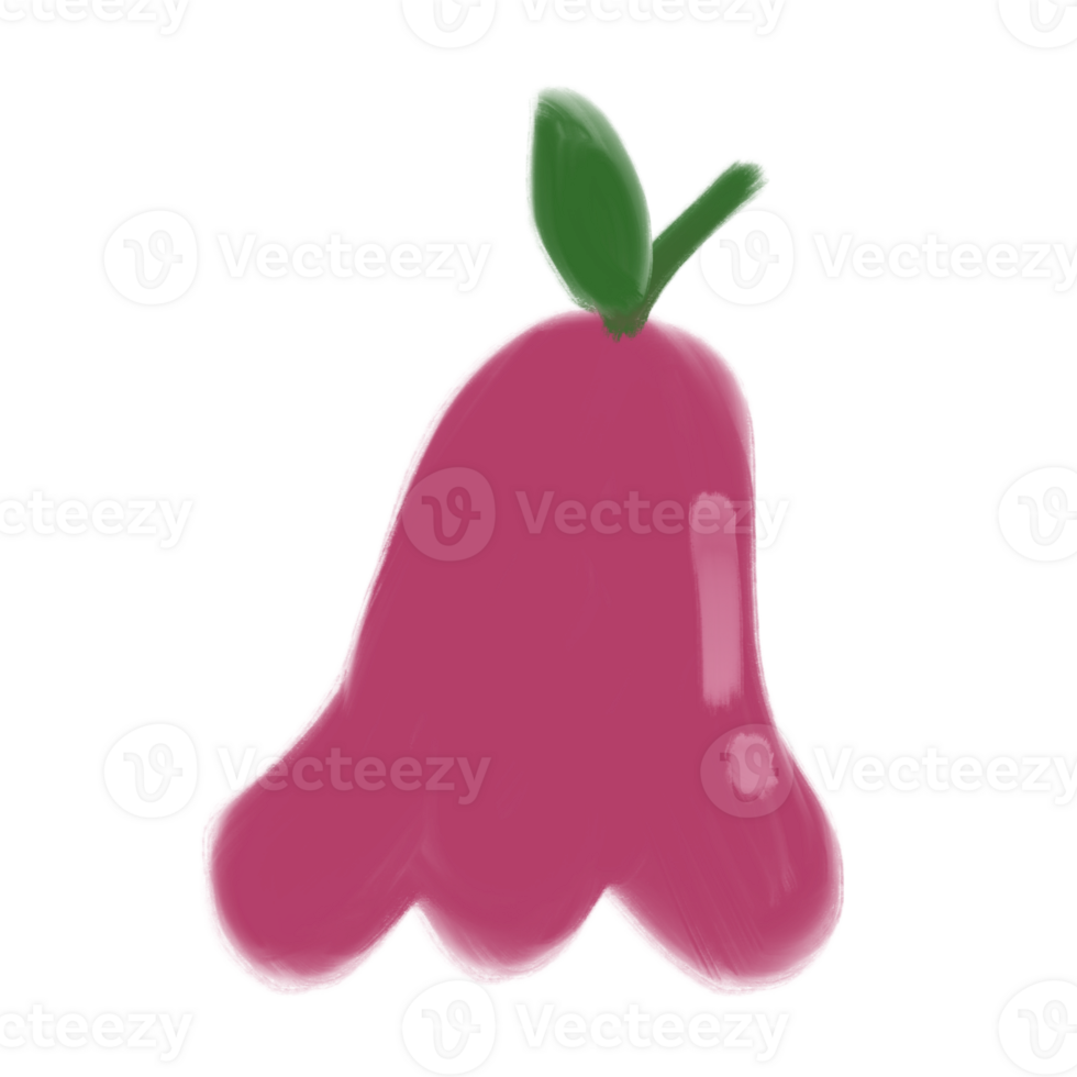 Purple Roseapple Fruit Doodle png