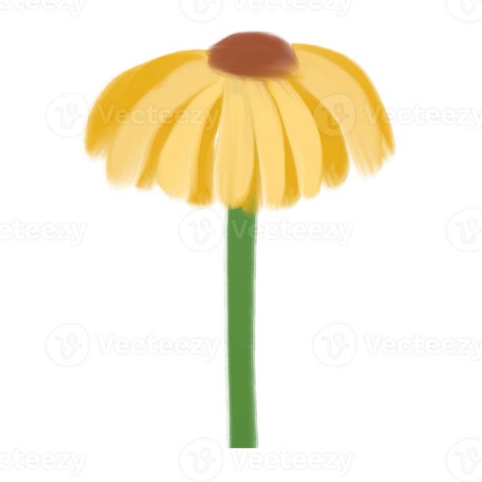 Yellow Daisy Flower Doodle png