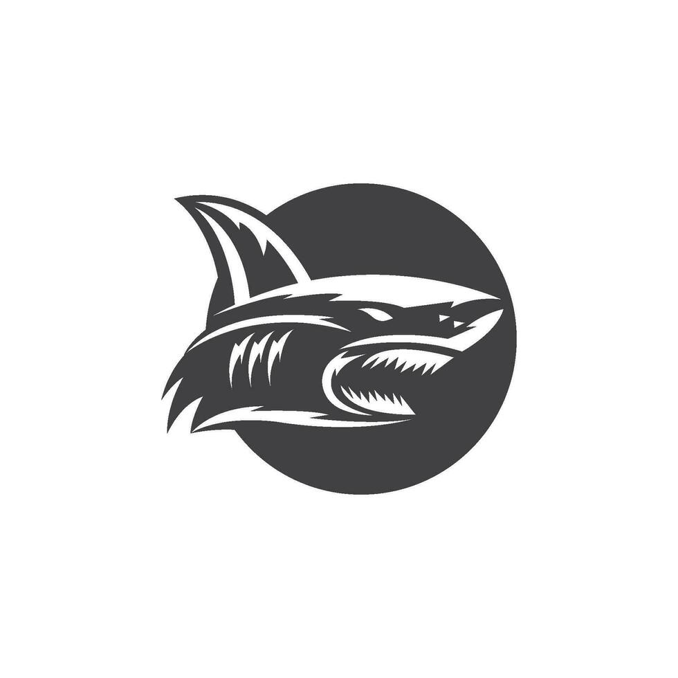 shark vector illustration design