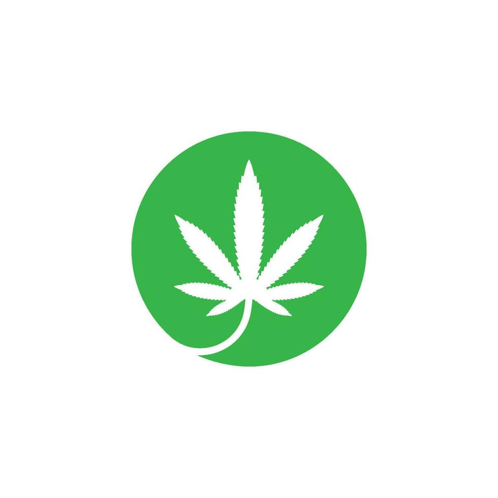 cannabis leaf vector icon illustration design