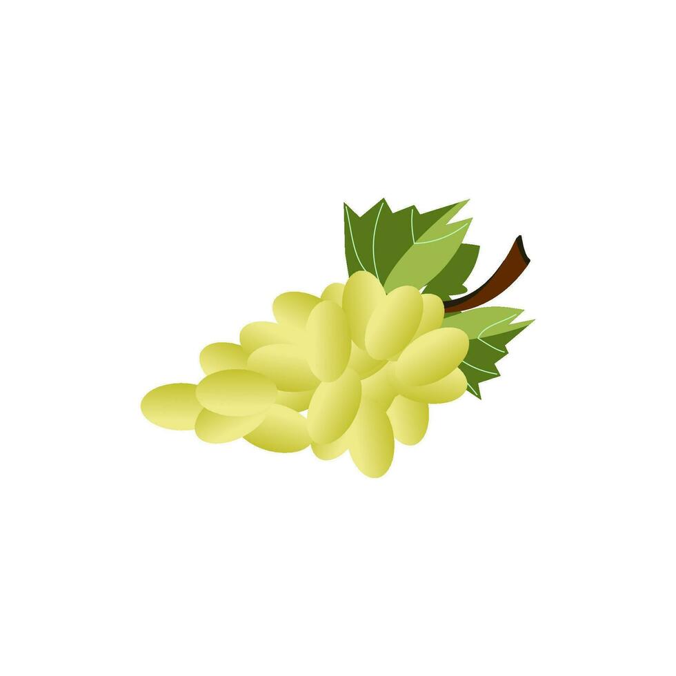 grapes icon vector design templates