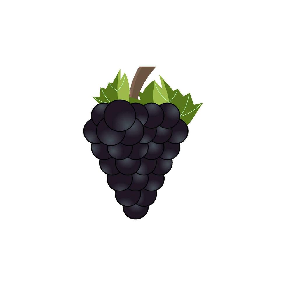 grapes icon vector design templates