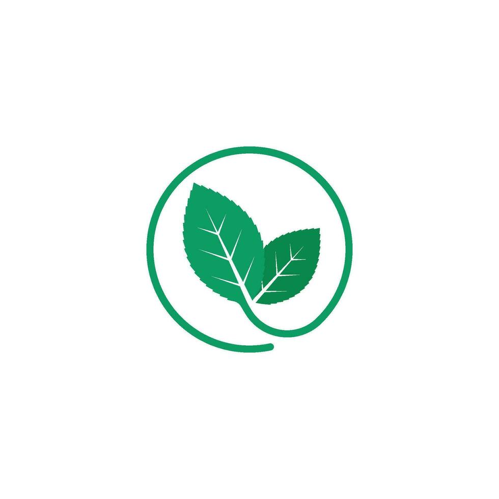 mint leaf illustration vector template