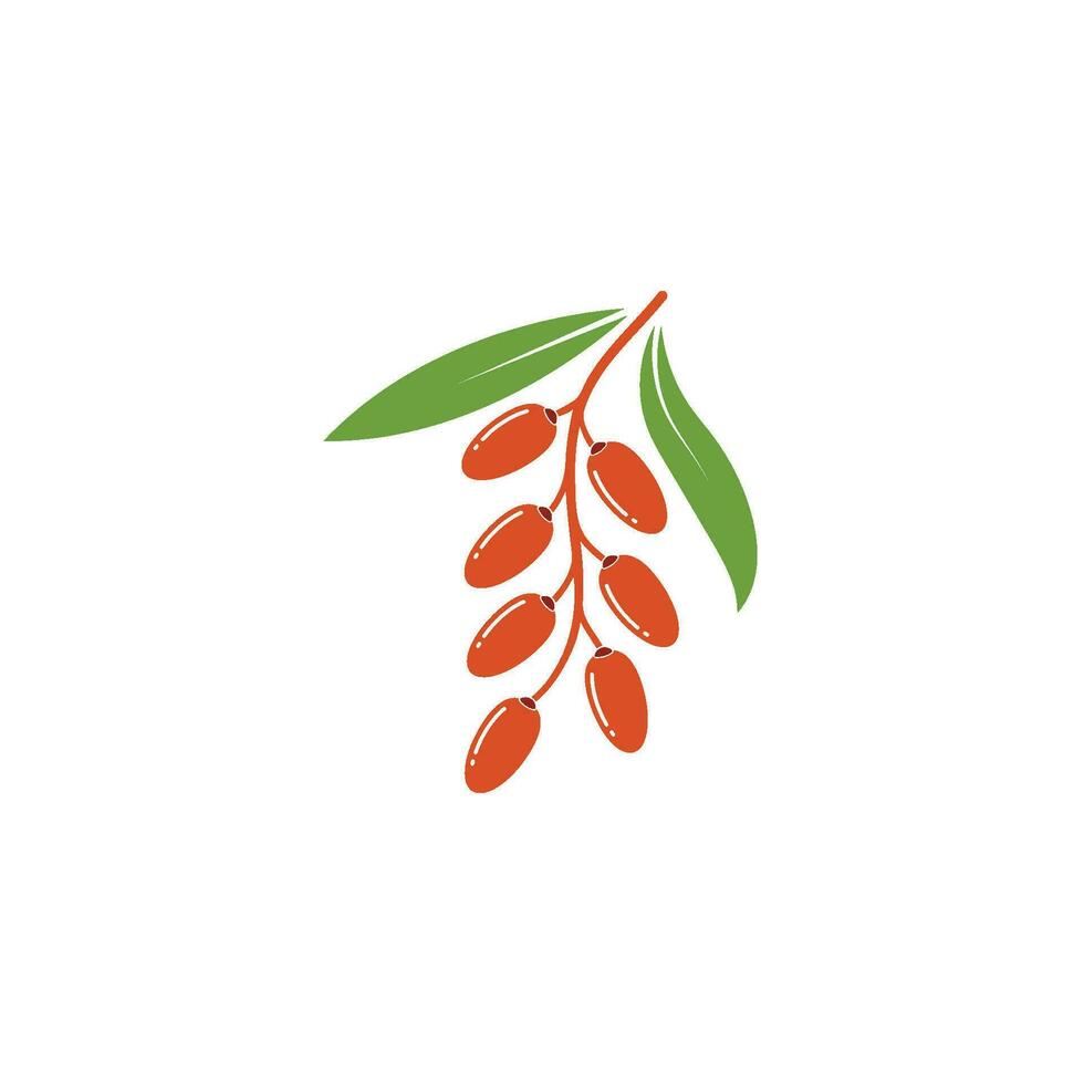 date fruit vector illustration design