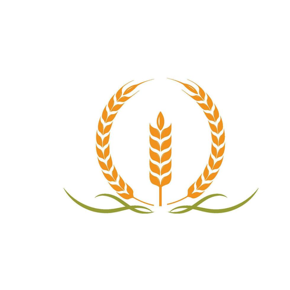 agricultura trigo vector icono ilustración diseño