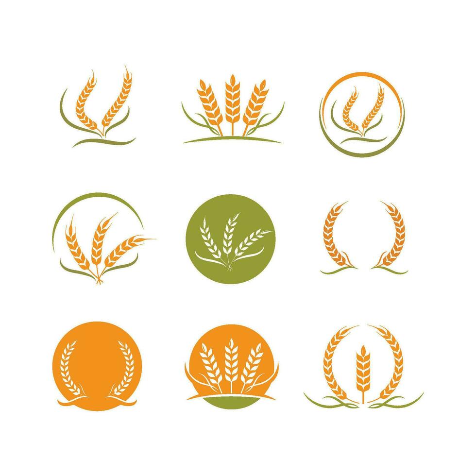 agricultura trigo vector icono ilustración diseño