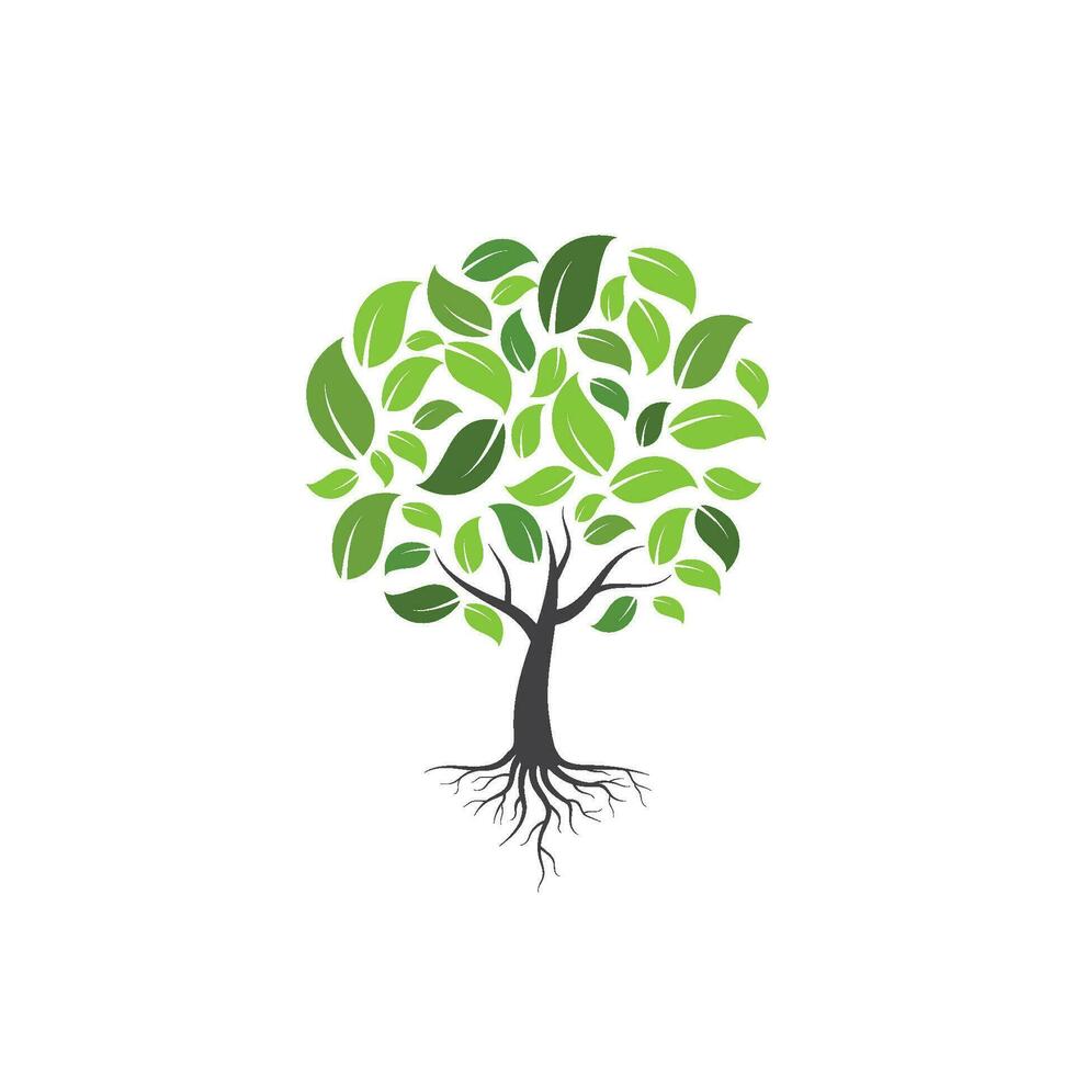 family  tree logo template vector illustration