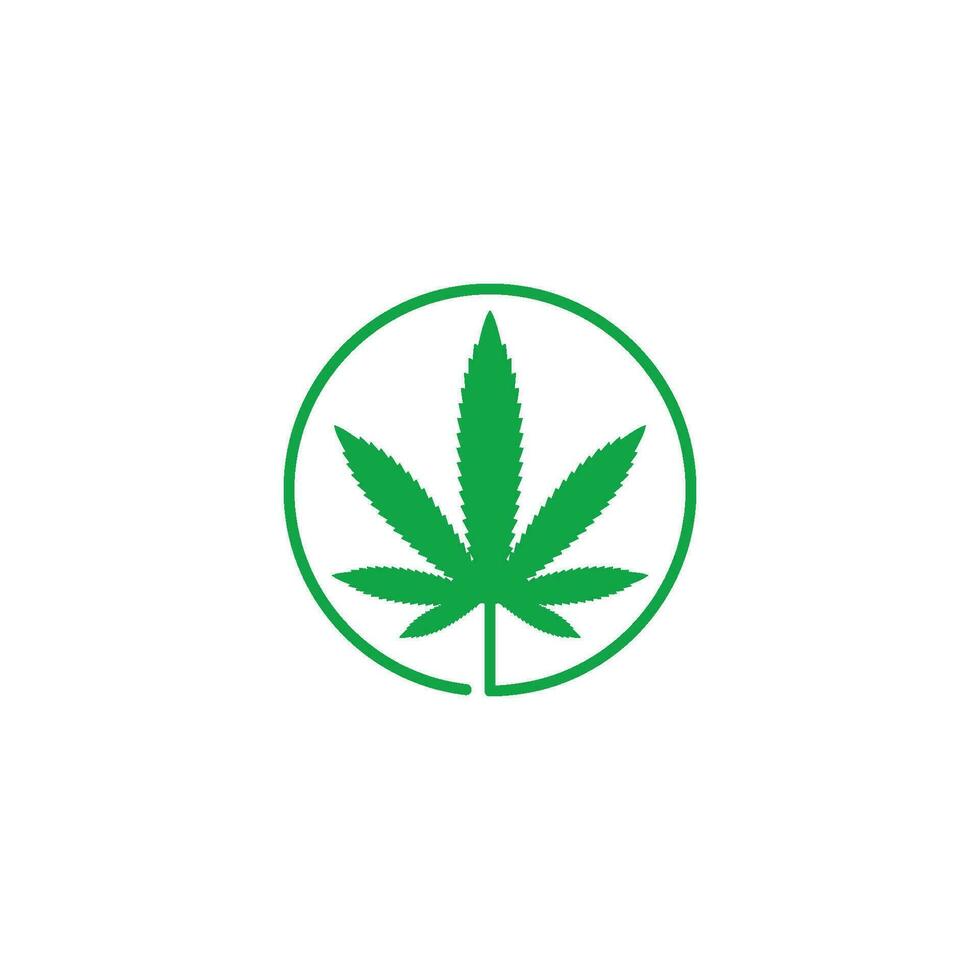 cannabis leaf vector icon illustration design