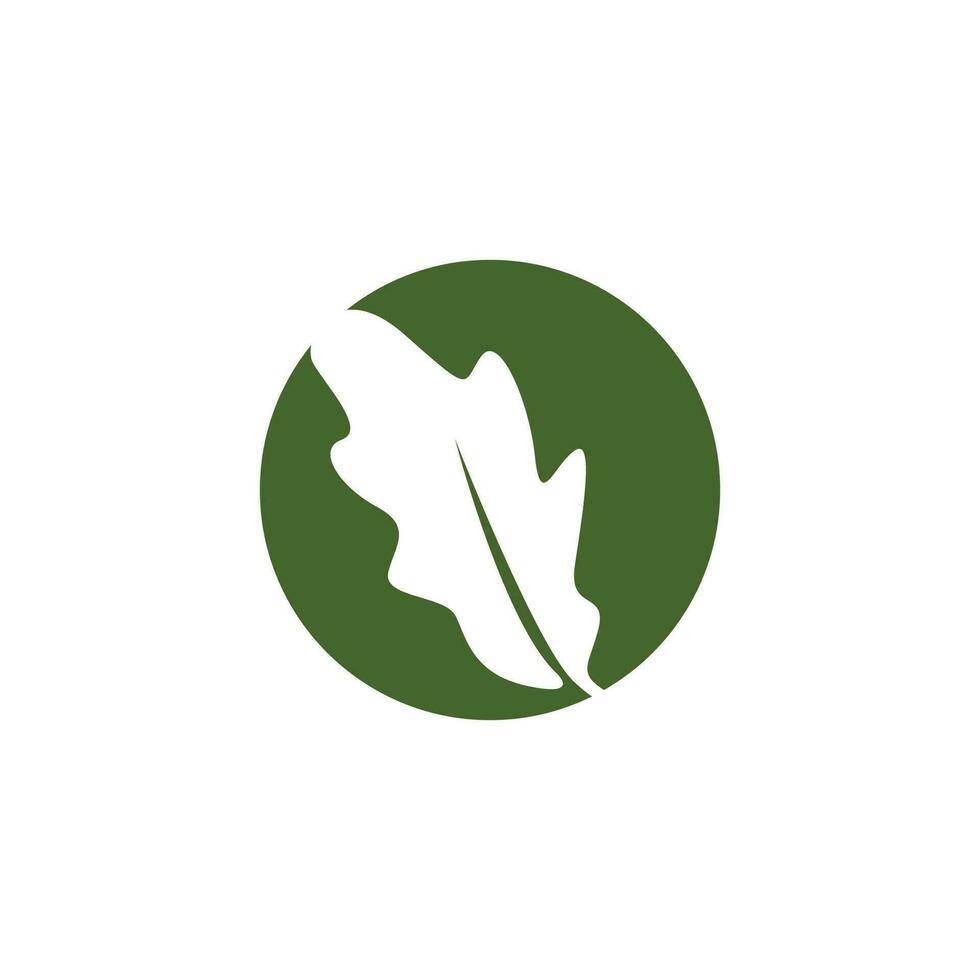 Oak Leaf Logo Design, Simple Green Plant Vector, Template Illustration vector