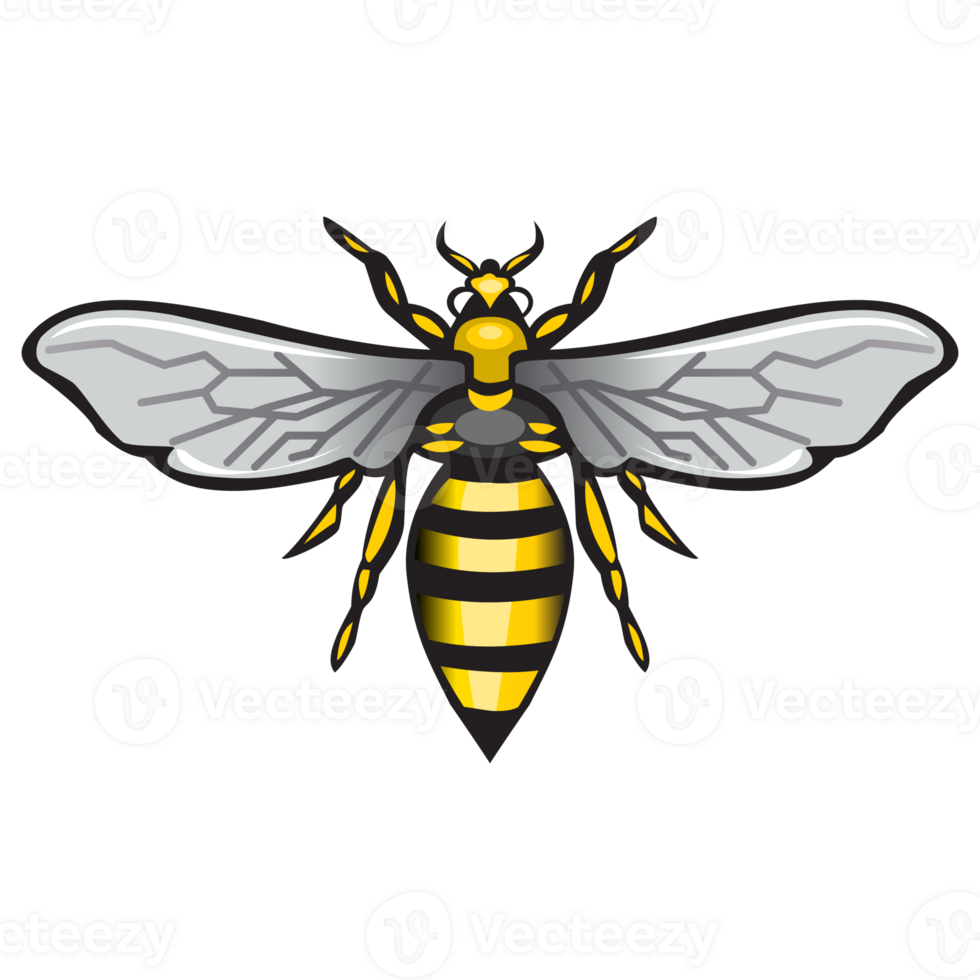 abeja imagen png