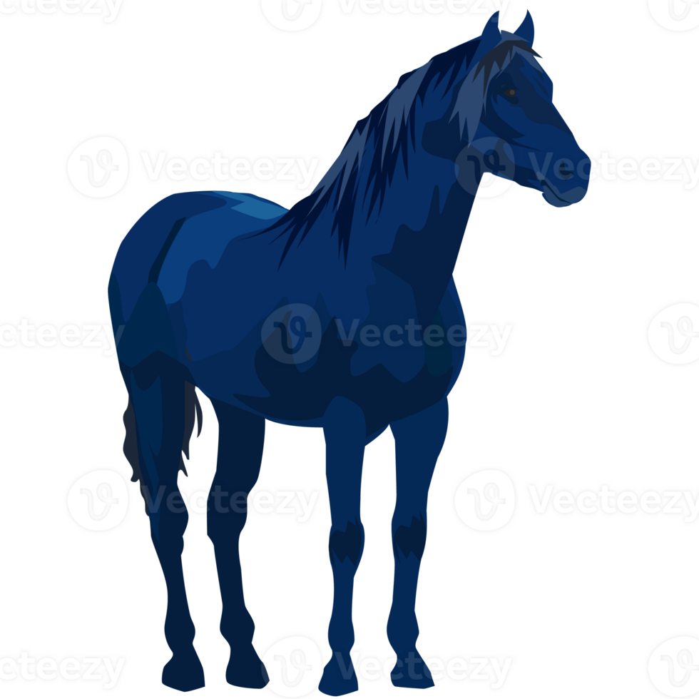 les chevaux image png