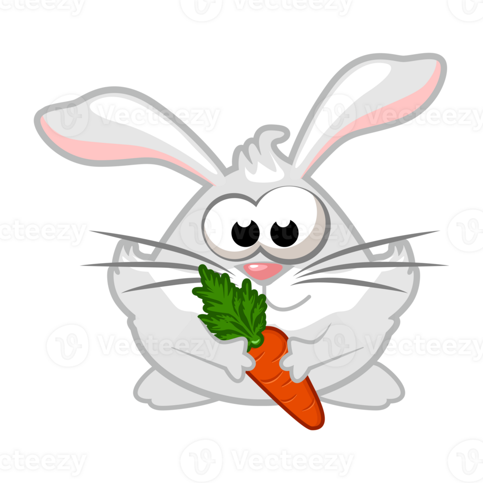 Funny bunny holding a carrot. Rabbit character png