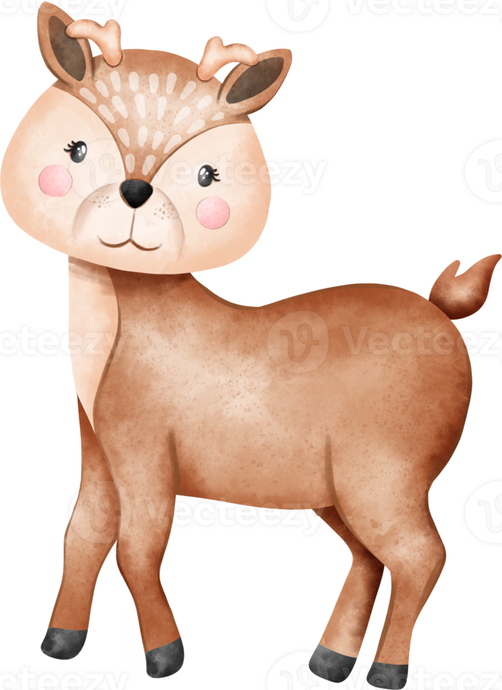 carino bambino cervo bosco animali acquerello png