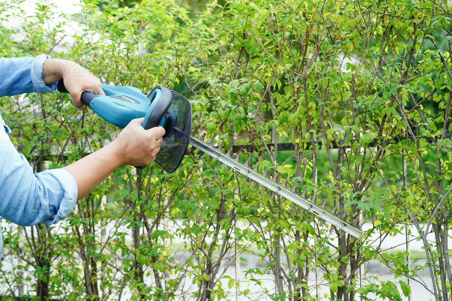 Gardener trimming bush by electric hedge clippers in garden. Hobby at home. photo
