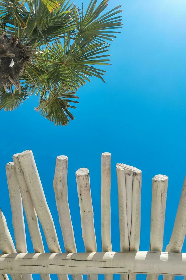 The roof of a tropical bungalow with a palm tree against the sky, protection from the sun photo