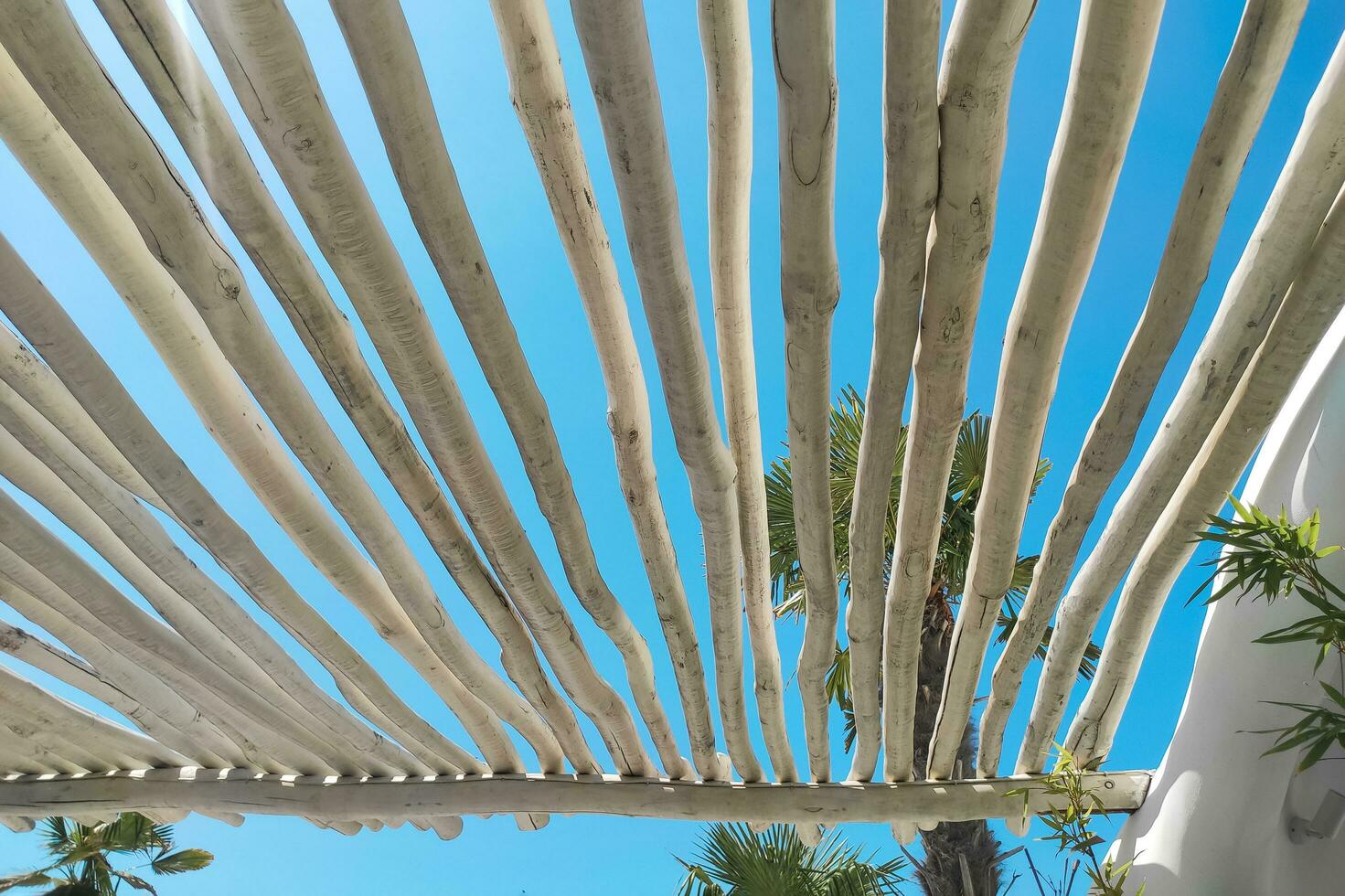 The roof of a tropical bungalow with a palm tree against the sky, protection from the sun photo