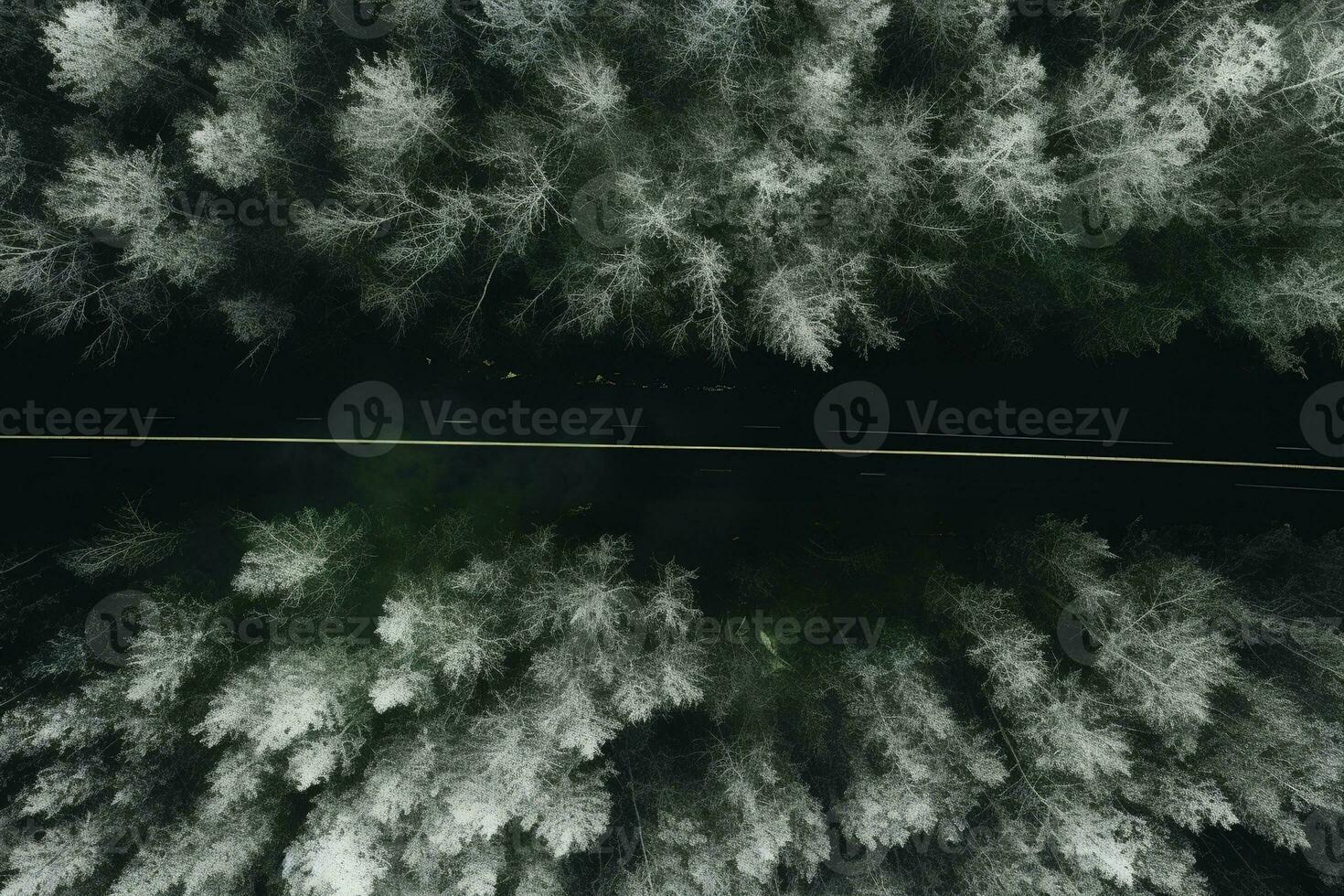 aéreo ver de un autopista devanado mediante un bosque en ambos verano y invierno estaciones. generativo ai foto