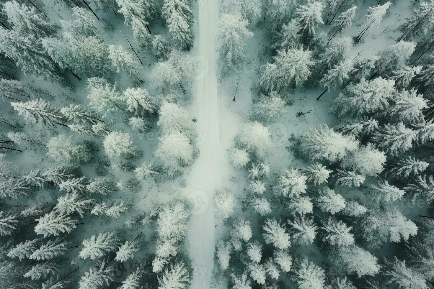 Aerial view of a highway winding through a forest in both summer and winter seasons. Generative AI photo