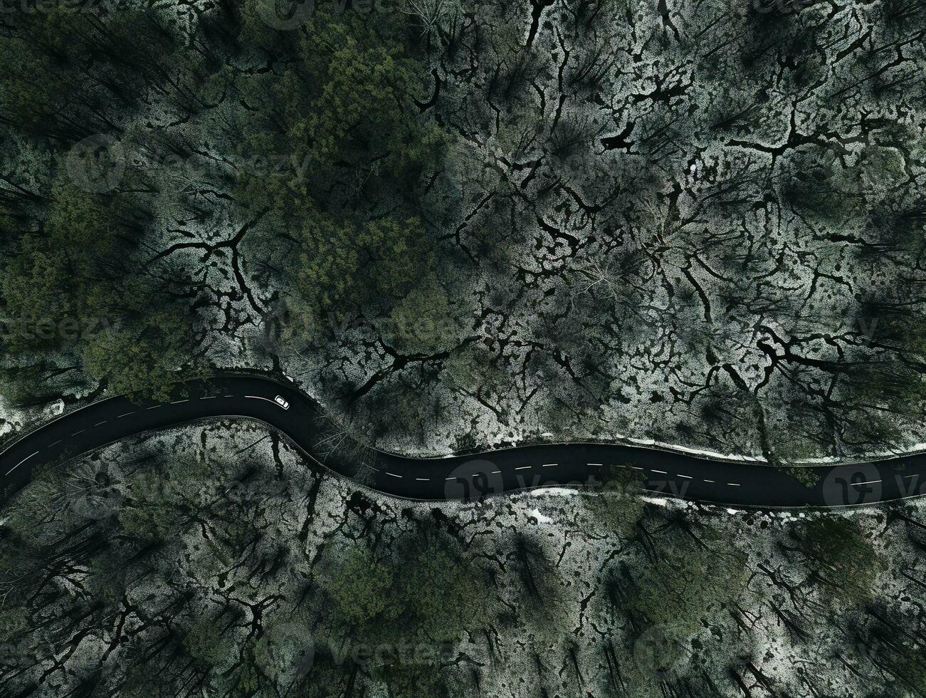 Aerial view of a highway winding through a forest in both summer and winter seasons. Generative AI photo