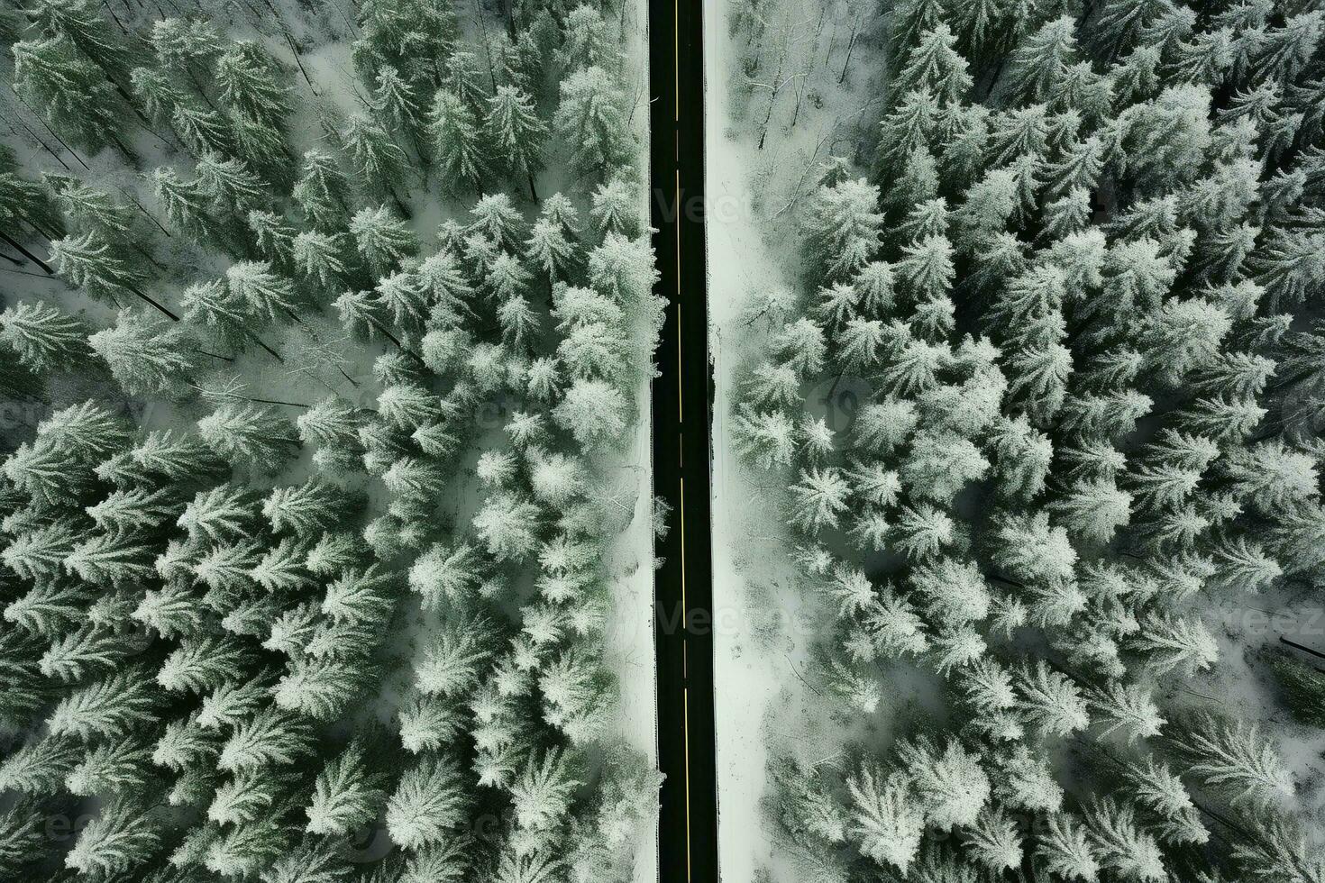 Aerial view of a highway winding through a forest in both summer and winter seasons. Generative AI photo