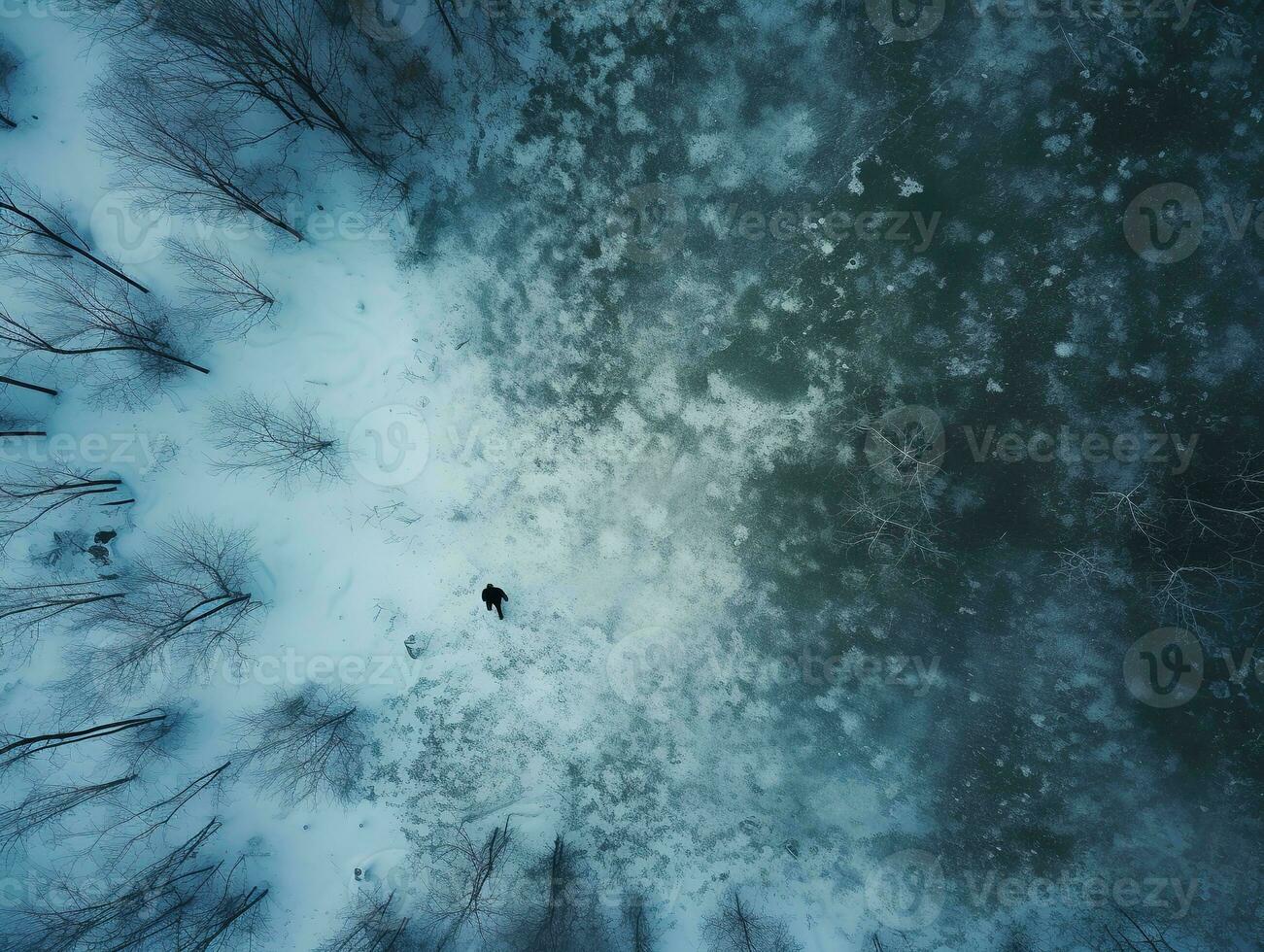 Aerial view of a highway winding through a forest in both summer and winter seasons. Generative AI photo