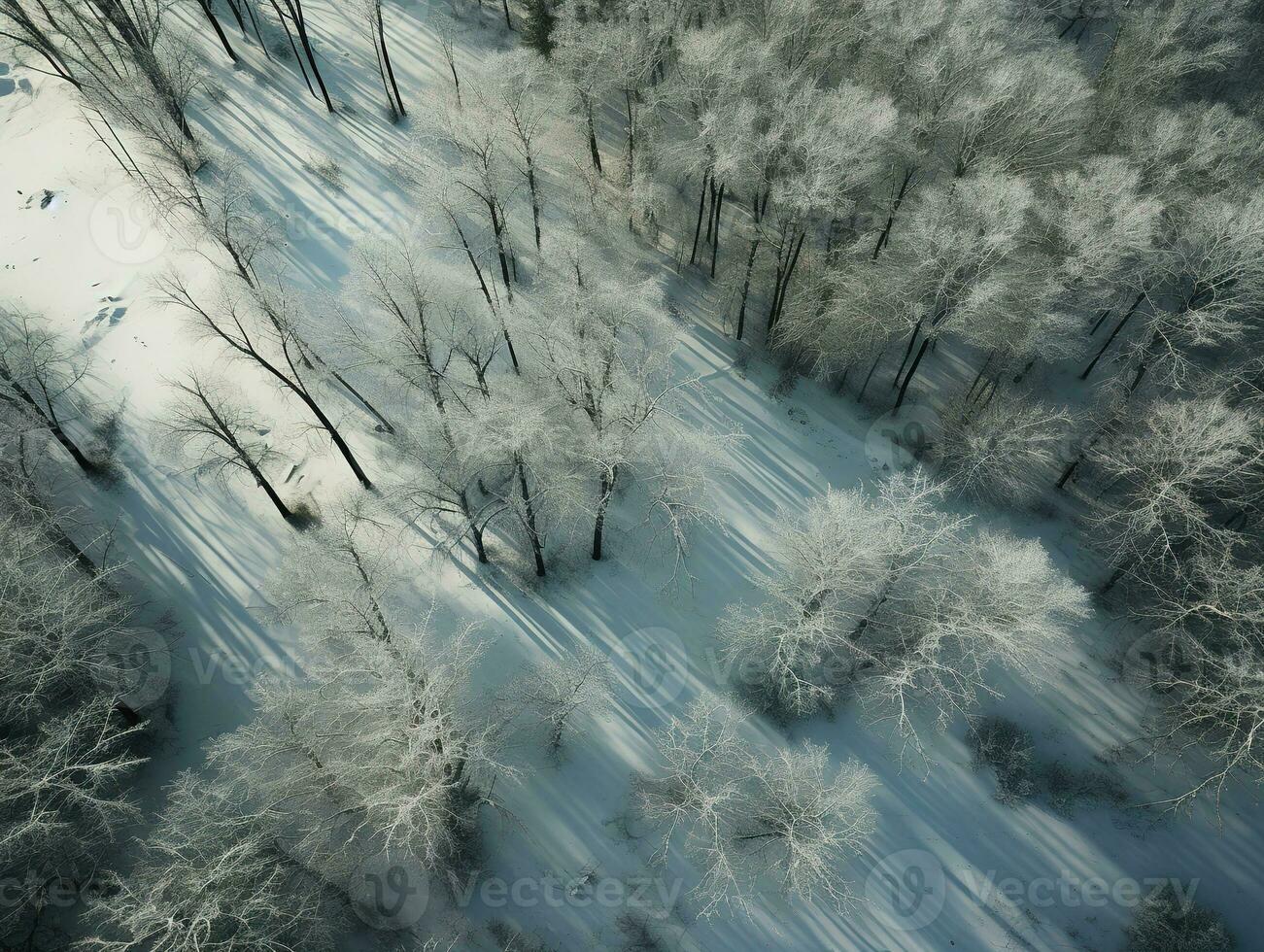 Aerial view of a highway winding through a forest in both summer and winter seasons. Generative AI photo